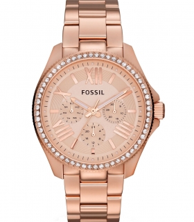 Ceas Fossil Cecile AM4483